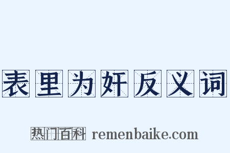 表里为奸反义词是什么意思的图片